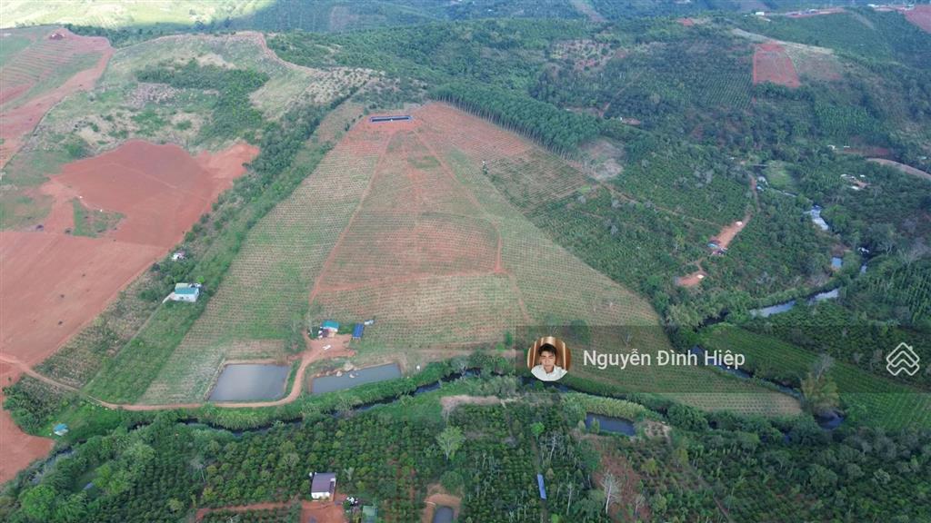 Bán 6.5ha vườn cà phê đẹp suối ôm 400m hệ thống tưới bài bản