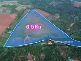 Bán 6.5ha vườn cà phê đẹp suối ôm 400m hệ thống tưới bài bản