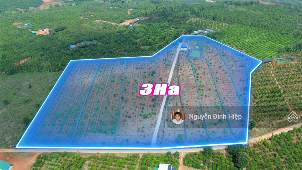 Bán 3ha ôm 200m mặt tiền bê tông hạ tầng đầy đủ giá 4.5 tỷ