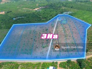 Bán 3ha ôm 200m mặt tiền bê tông hạ tầng đầy đủ giá 4.5 tỷ