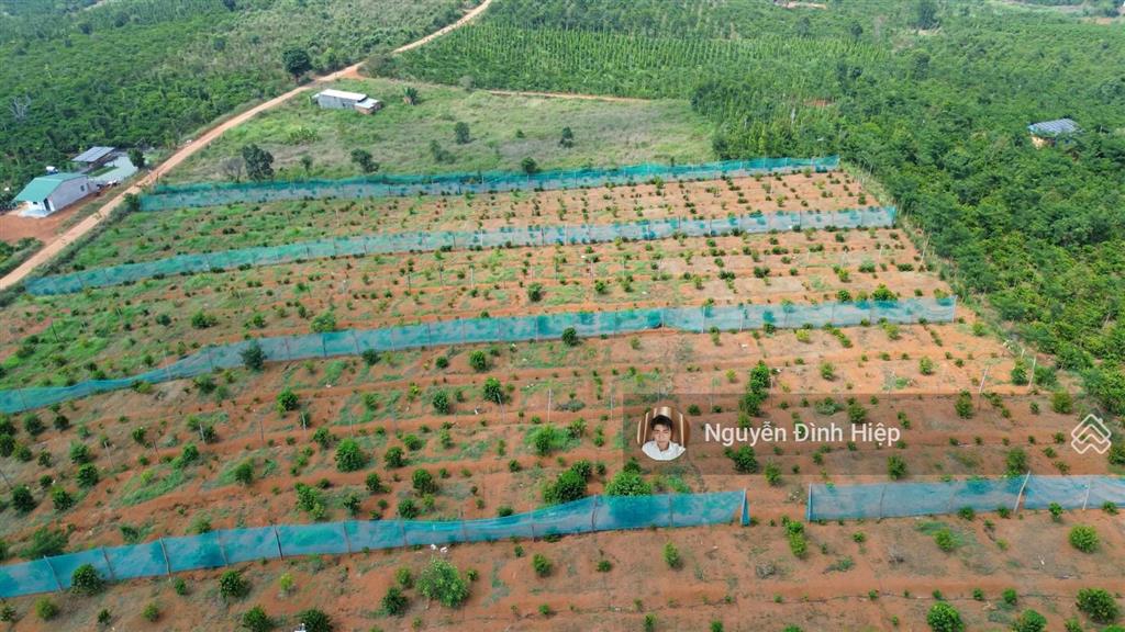 Bán 3ha ôm 200m mặt tiền bê tông hạ tầng đầy đủ giá 4.5 tỷ