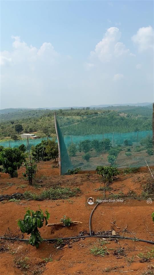 Bán 3ha ôm 200m mặt tiền bê tông hạ tầng đầy đủ giá 4.5 tỷ