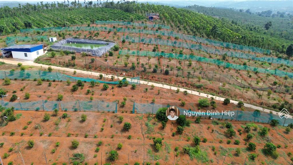 Bán 3ha ôm 200m mặt tiền bê tông hạ tầng đầy đủ giá 4.5 tỷ