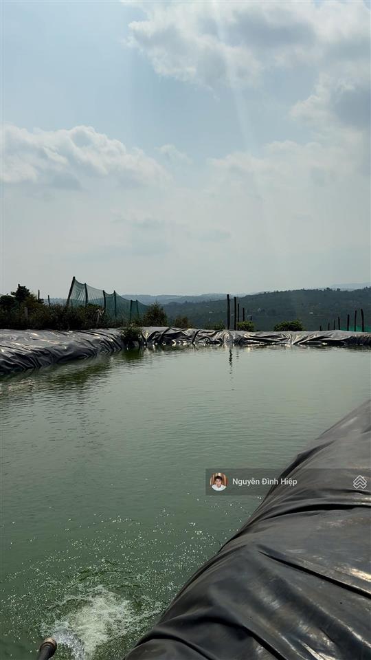 Bán 3ha ôm 200m mặt tiền bê tông hạ tầng đầy đủ giá 4.5 tỷ