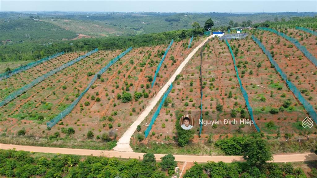 Bán 3ha ôm 200m mặt tiền bê tông hạ tầng đầy đủ giá 4.5 tỷ