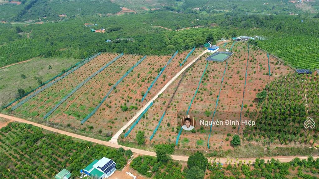 Bán 3ha ôm 200m mặt tiền bê tông hạ tầng đầy đủ giá 4.5 tỷ