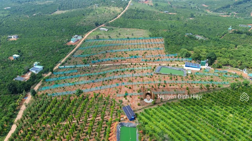 Bán 3ha ôm 200m mặt tiền bê tông hạ tầng đầy đủ giá 4.5 tỷ