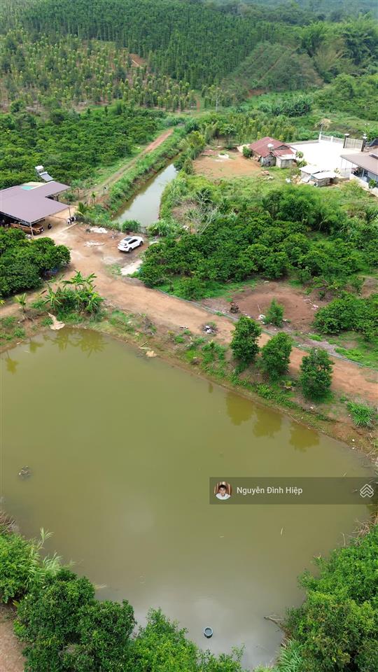 Bán rẫy 6.6ha nguồn thu mạnh ~24 tấn/năm hạ tầng sẵn giá 12 tỷ