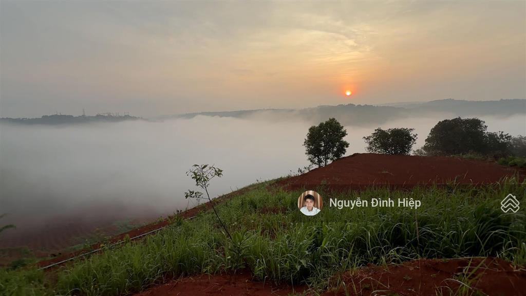 Bán đất view săn mây, 100m mặt tiền đường sẵn nhà giá 6 tỷ