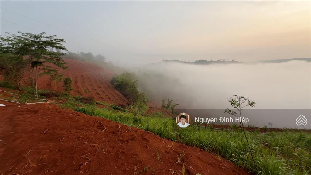 Bán đất view săn mây, 100m mặt tiền đường sẵn nhà giá 6 tỷ