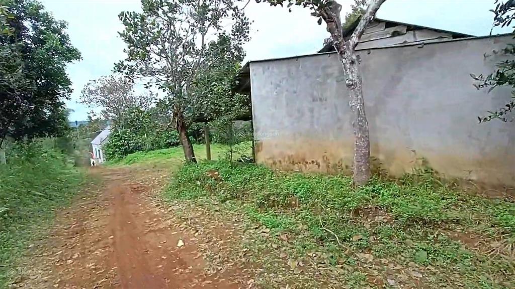 Bán đất view thác đá tp gia nghĩa, 2.4ha view thác 9 tầng giá 6.5 tỷ