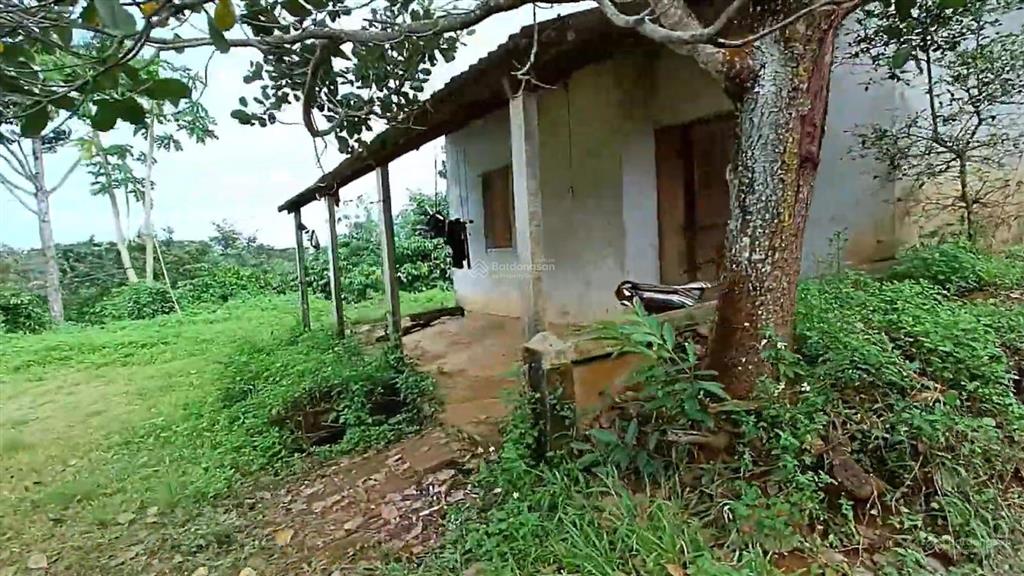 Bán đất view thác đá tp gia nghĩa, 2.4ha view thác 9 tầng giá 6.5 tỷ
