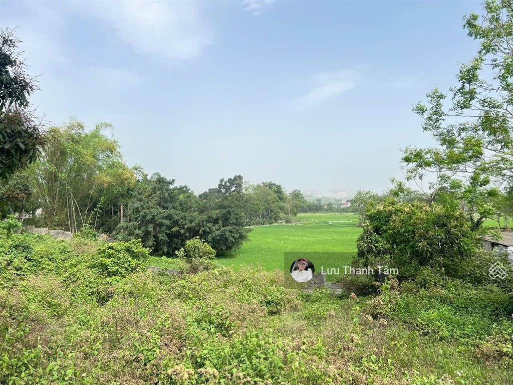 Cần bán mảnh đất view núi đá hùng vĩ cao dương, lương sơn, hòa bình, diện tích 4,209m2