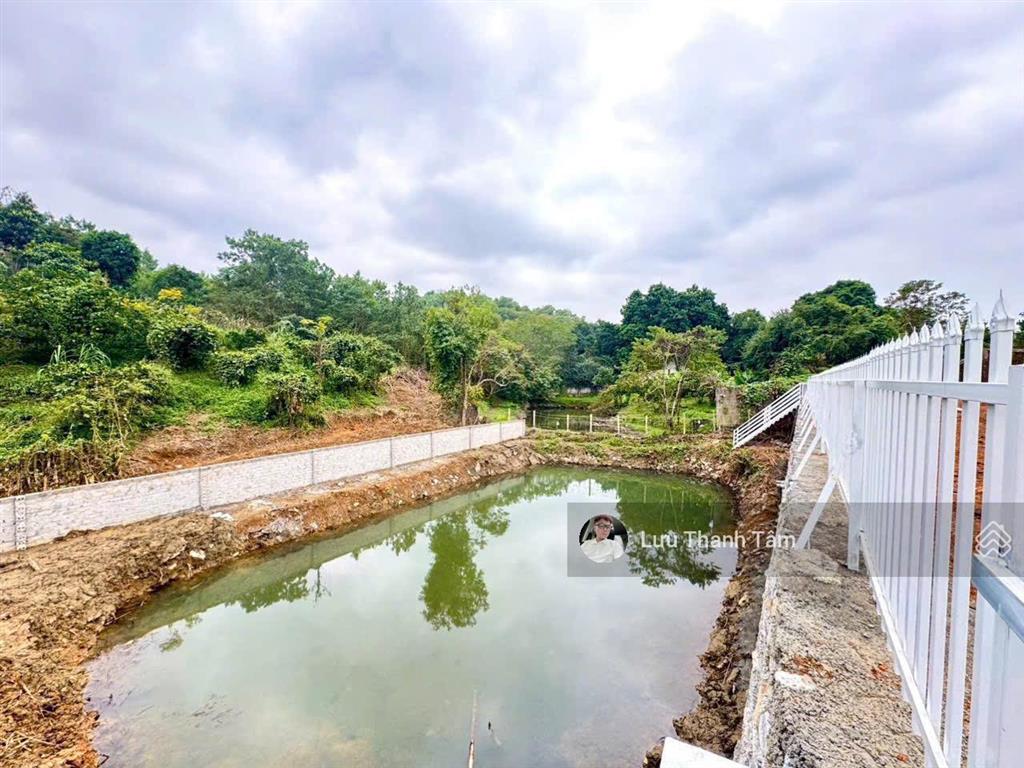 Bán nhanh lô đất cực đẹp 3200m²/400m² thổ cư (trong đó có 432m² đất ao) tại lương sơn