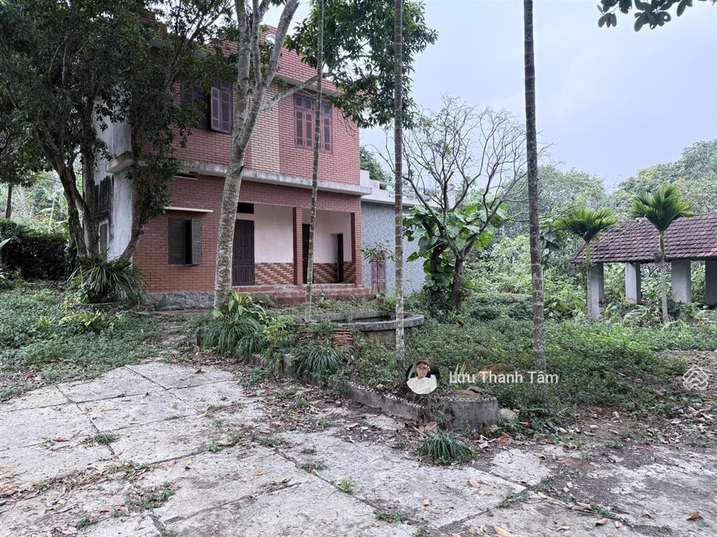 Chính chủ gửi bán lô đất đẹp lâm sơn, lương sơn, hòa bình, 928m² có 400m² thổ cư
