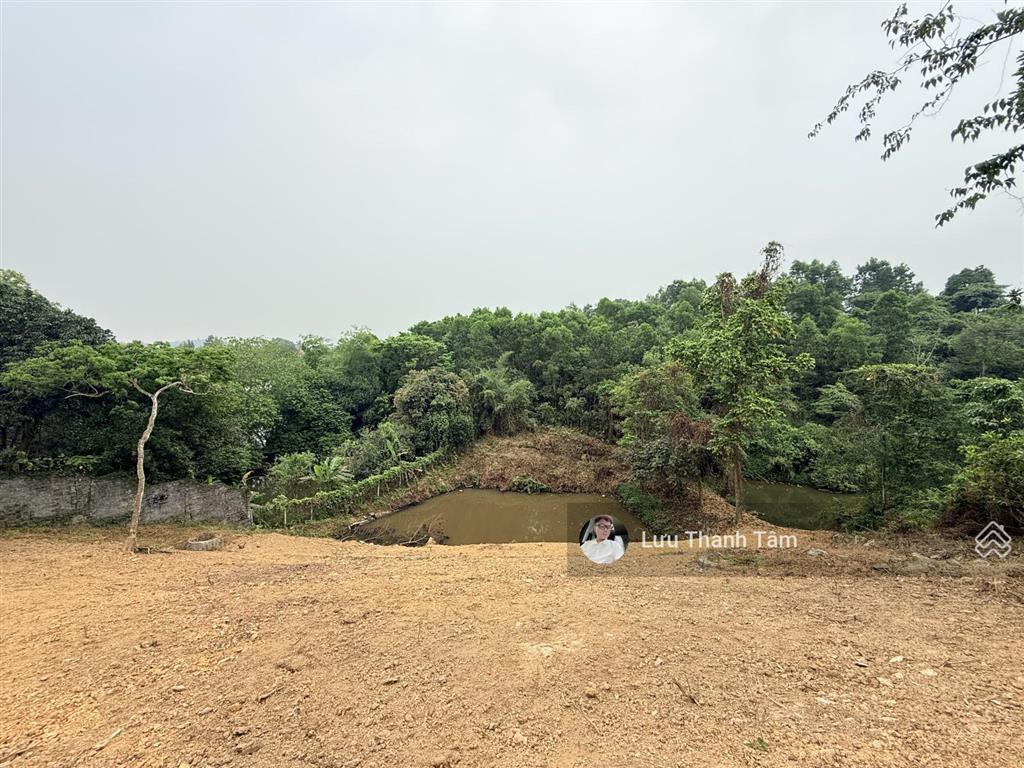 Nhỉnh 2 triệu/m2 sở hữu ngay, siêu phầm nghỉ dưỡng 3100m2/400m2 thổ cư ( trong đó có 728m2 đất ao)