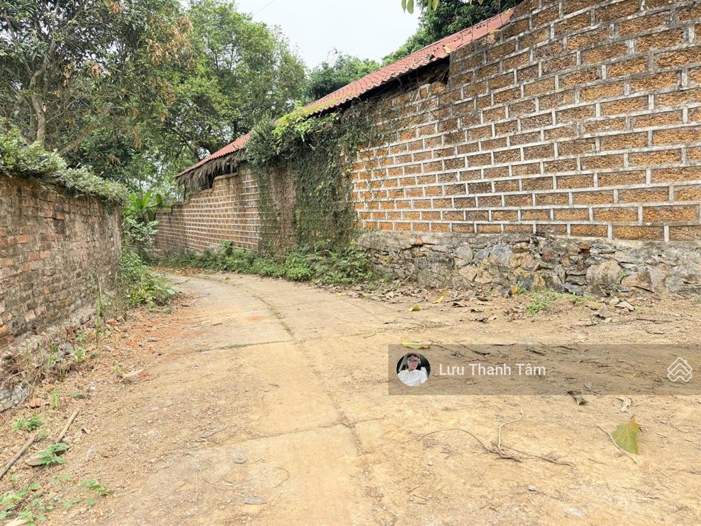 Nhỉnh 2 triệu/m2 sở hữu ngay, siêu phầm nghỉ dưỡng 3100m2/400m2 thổ cư ( trong đó có 728m2 đất ao)