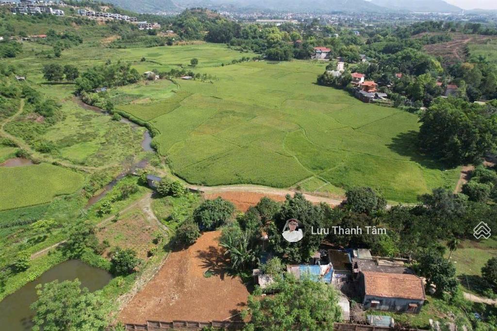 Chuyển nhượng lô đất siêu đẹp 3.000m tại lương sơn hb view cánh đồng. cách tt hà nôik 30km