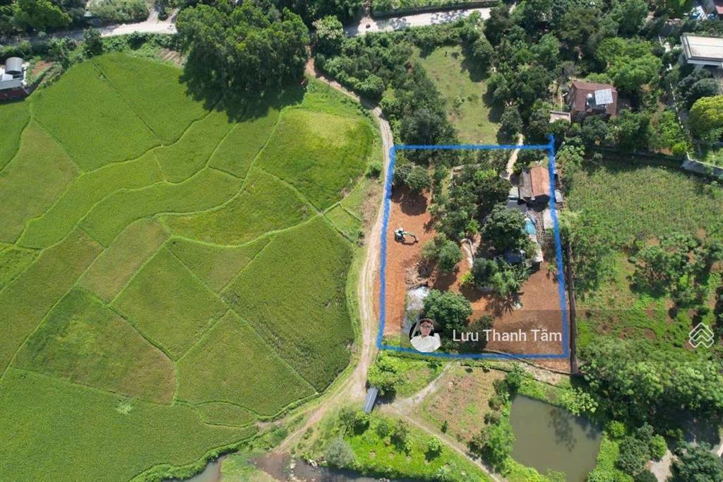 Chuyển nhượng lô đất siêu đẹp 3.000m tại lương sơn hb view cánh đồng. cách tt hà nôik 30km