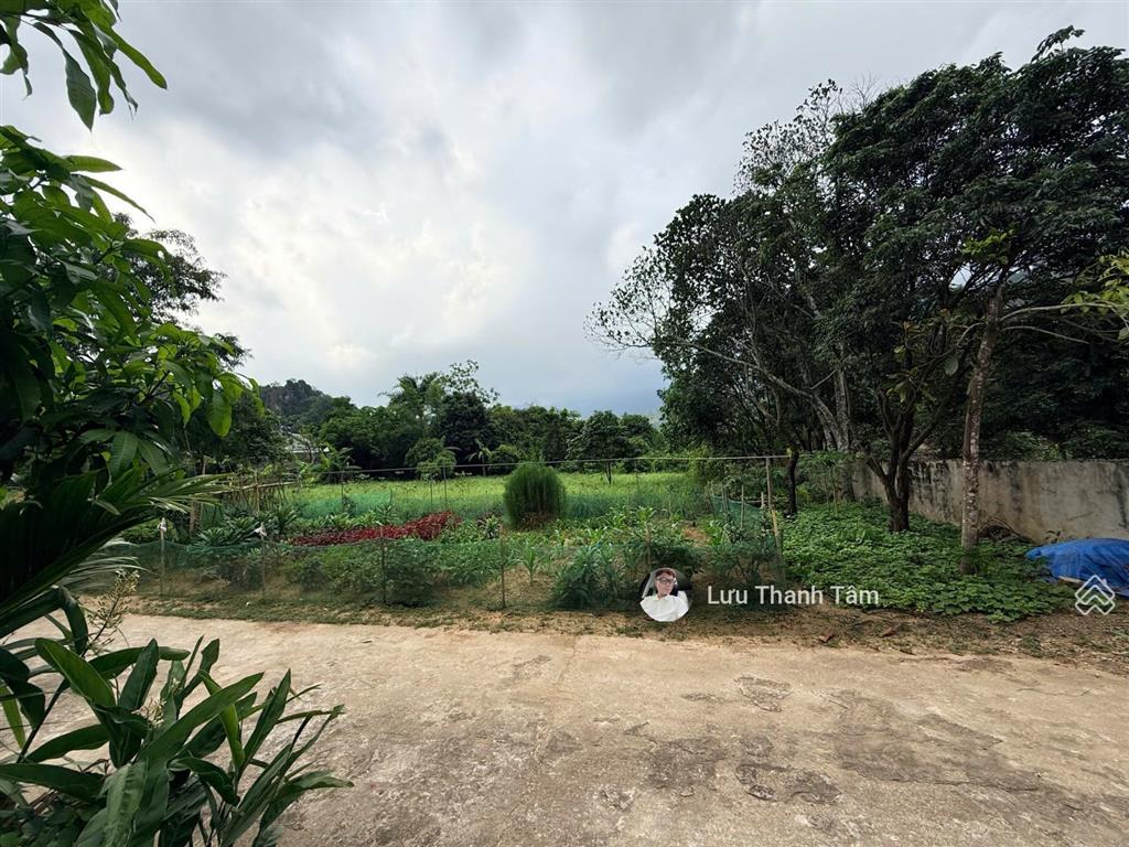 Cần bán lô đất 245.8m² có 200m2 thổ cư tại lâm sơn lưng tựa núi view thoáng mát, lưng tựa núi đá