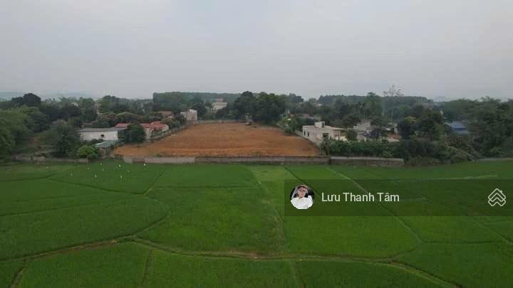 Bán nhanh đất nghỉ dưỡng tại nhuận trạch lương sơn phú thọ, diện tích 4147m2 có 400m2 thổ cư