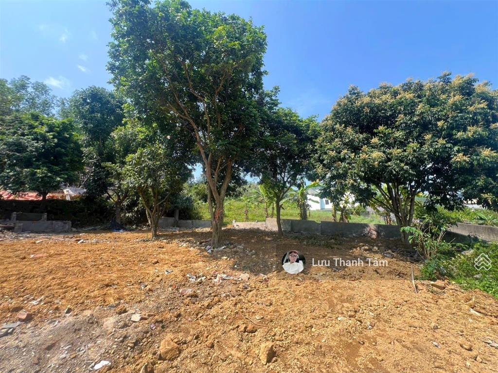 419m2 full thổ cư, đất hai mặt đường tại lâm sơn, lương sơn. giá siêu rẻ 3.28 tỷ