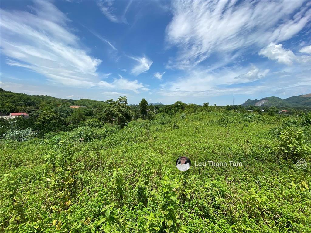 Cần bán 12.096m2 có 800m2 thổ cư view sân golf phượng hoàng lâm sơn, lương sơn, hòa bình