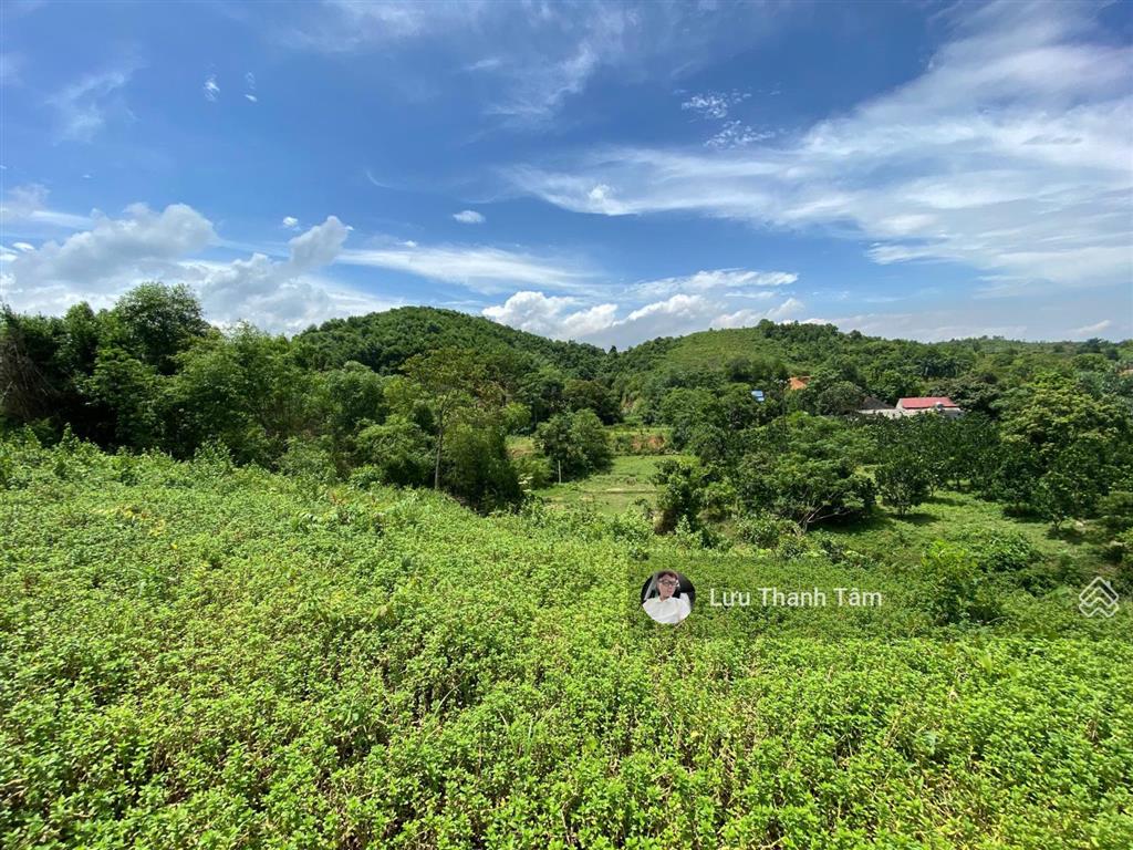 Cần bán 12.096m2 có 800m2 thổ cư view sân golf phượng hoàng lâm sơn, lương sơn, hòa bình