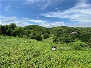 Cần bán 12.096m2 có 800m2 thổ cư view sân golf phượng hoàng lâm sơn, lương sơn, hòa bình