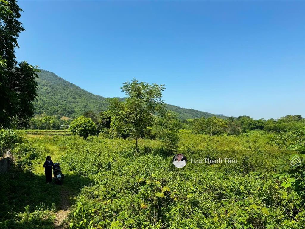 Em ra mắt lô đất phân lô hay nghỉ dưỡng đều đẹp. giá rẻ chỉ 2,2tr/m2 diện tích 8107m2 400m2 tc