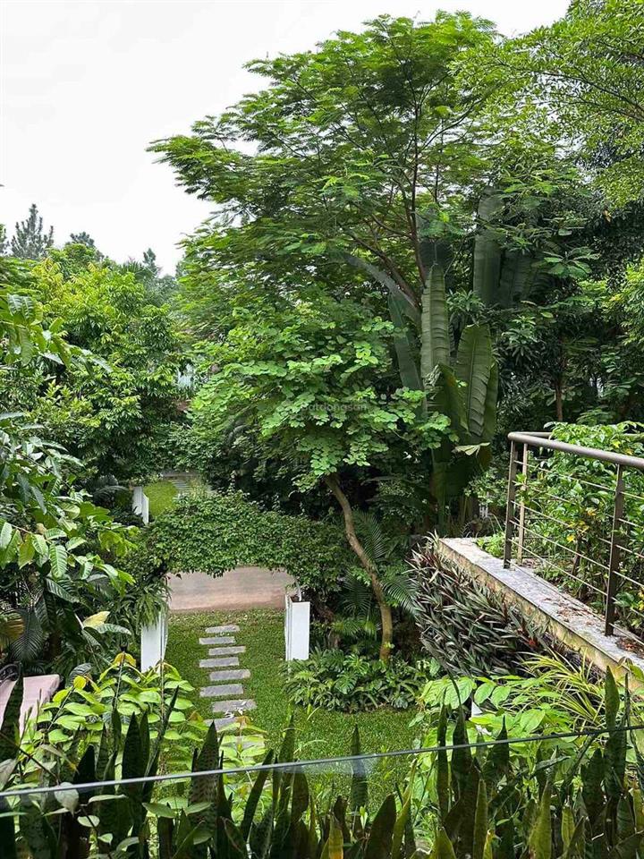 Bán nhanh biệt thự hoàng oanh 325m2, view vườn hồng đẹp, giá 17 tỉ