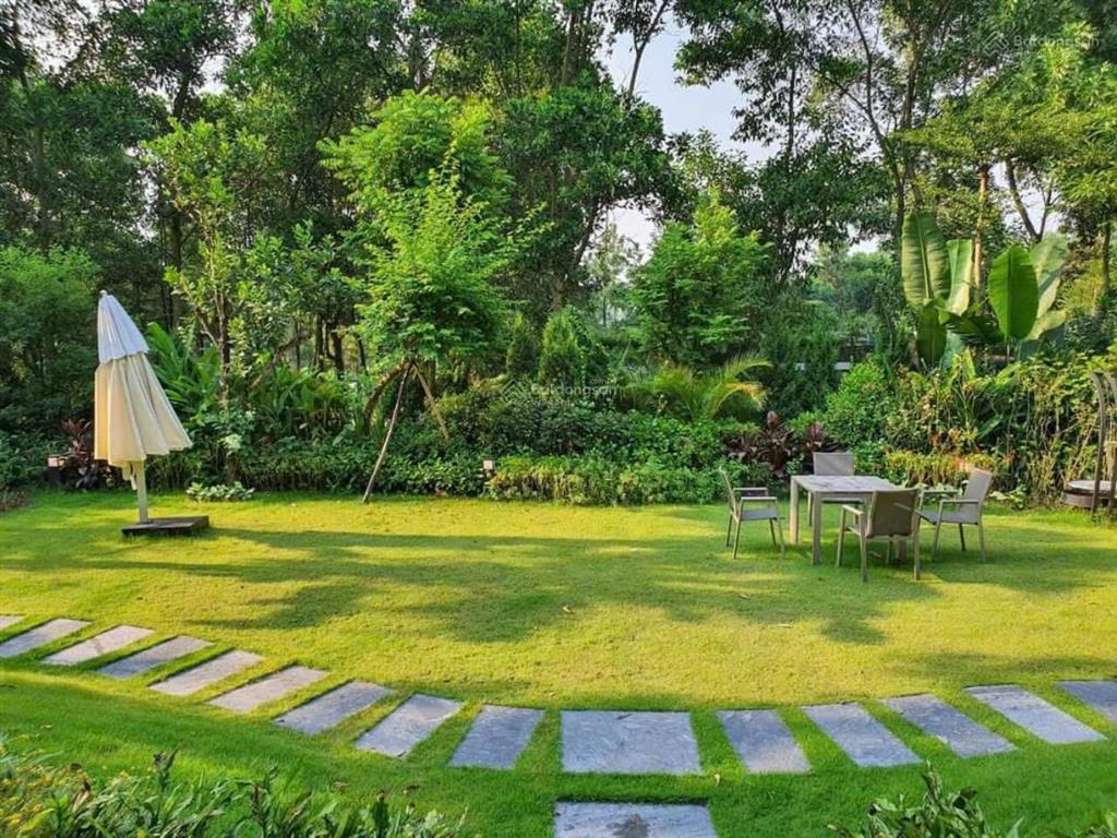 Bán đất nền hiếm có tự thiết kế xây dựng biệt thự, giá 45tr/m2