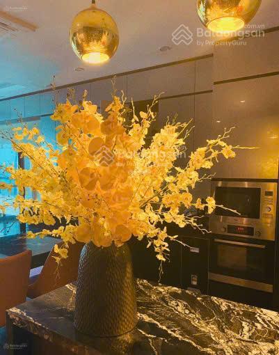 Bán căn hộ chung cư đẹp tại trung tâm thương mại tsq, 9 tỷ vnd, 202 m2