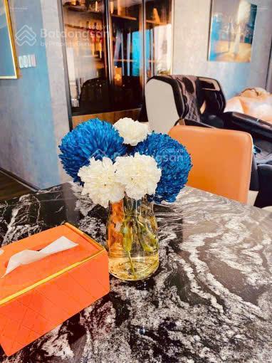 Bán căn hộ chung cư đẹp tại trung tâm thương mại tsq, 9 tỷ vnd, 202 m2