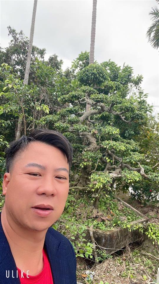 Siêu phẩm toà căn hộ dịch vụ mặt tiền đường bình quới, bình thạnh, 440m2, 150 tỷ.