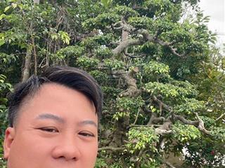 Siêu phẩm toà căn hộ dịch vụ mặt tiền đường bình quới, bình thạnh, 440m2, 150 tỷ.