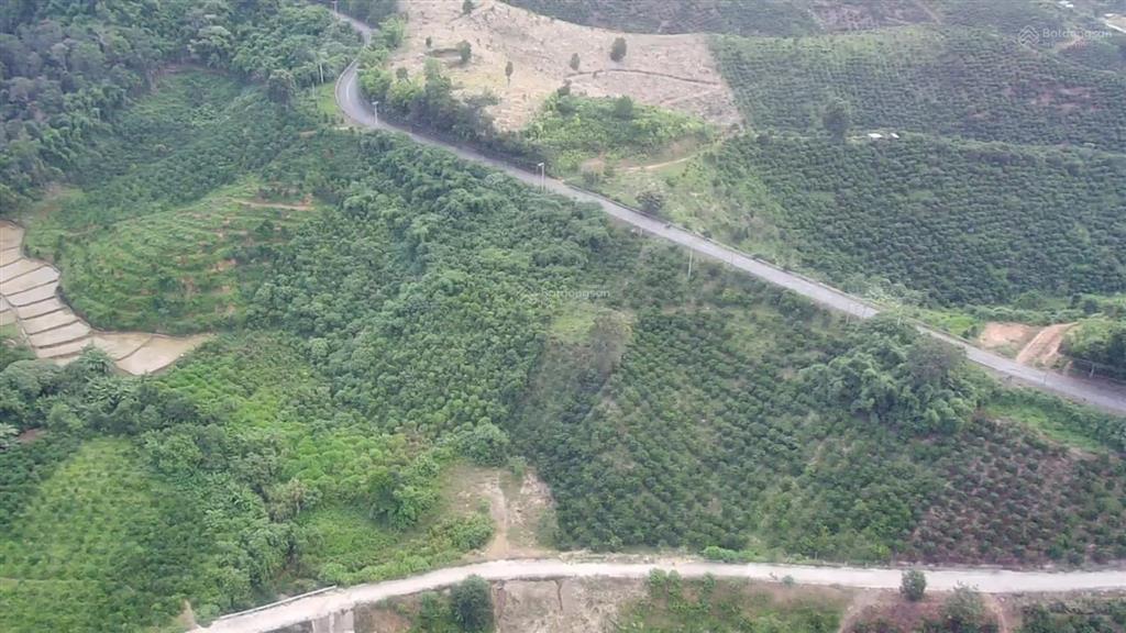 Bán đất đẹp tại quốc lộ 27, 3,7 tỷ, 9536m2, nhiều tiện ích