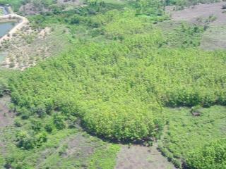 Bán đất tại xã ea kiết, huyện cư m'gar, đắk lắk, giá tốt, 686 triệu, 8269m2