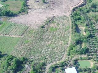 Bán đất tại xã ea sar, huyện ea kar, đắk lắk, 750 triệu, 7067m2, view đẹp, giá siêu hời