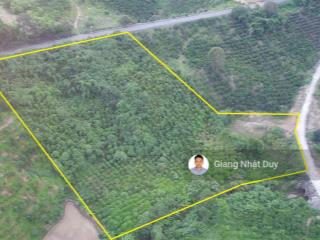 Bán đất tại quốc lộ 27, xã liêng s’rônh, huyện đam rông, giá cực chất 3,7 tỷ, 9536m2