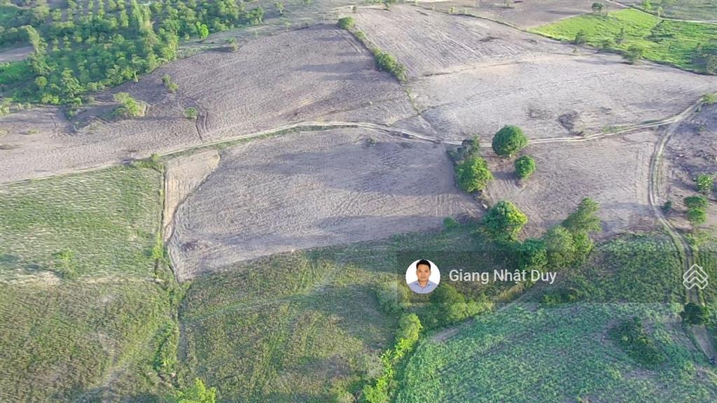 Bán 7 sào đất trồng mía tại ea kar, đắk lắk
