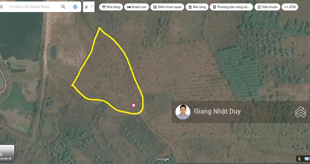 Bán 8 sào đất tại đắk lắk, đất có sẵn gỗ tếch
