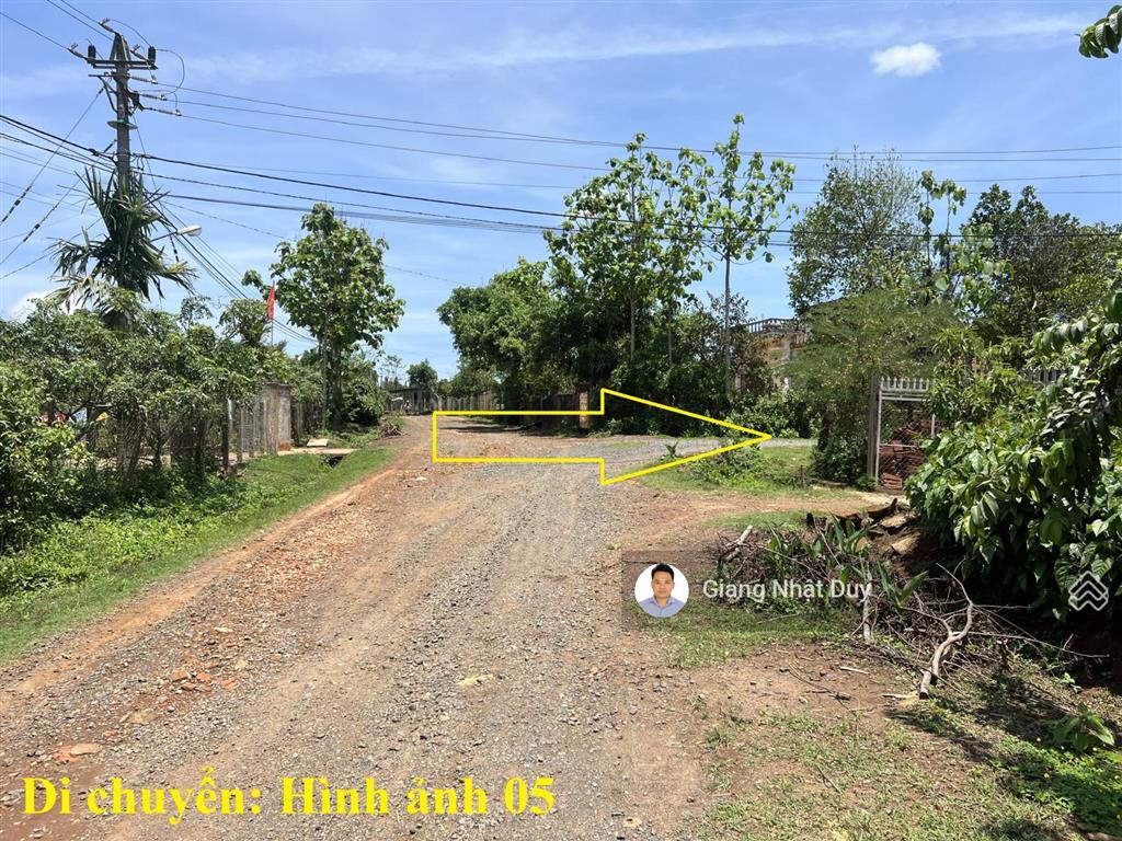 Bán 8 sào đất tại đắk lắk, đất có sẵn gỗ tếch