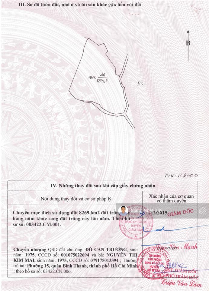 Bán 8 sào đất tại đắk lắk, đất có sẵn gỗ tếch