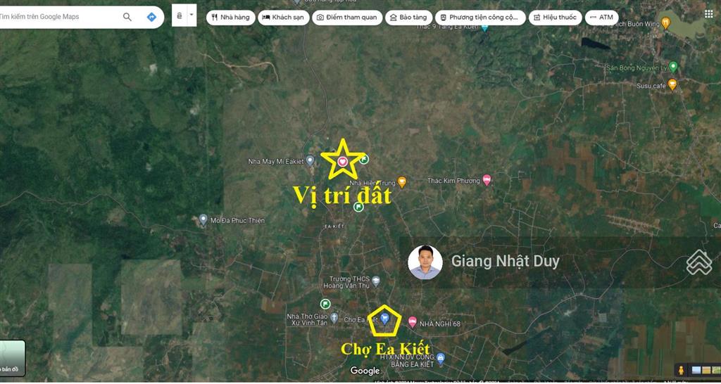 Bán 8 sào đất tại đắk lắk, đất có sẵn gỗ tếch