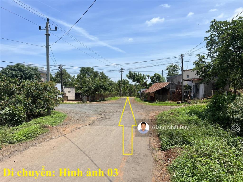 Bán 8 sào đất tại đắk lắk, đất có sẵn gỗ tếch
