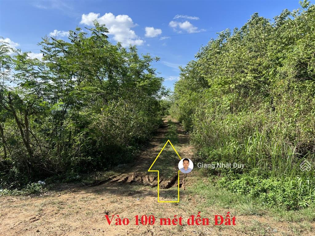 Bán đất tại xã ea sar, huyện ea kar, đắk lắk, 750 triệu, 7067m2