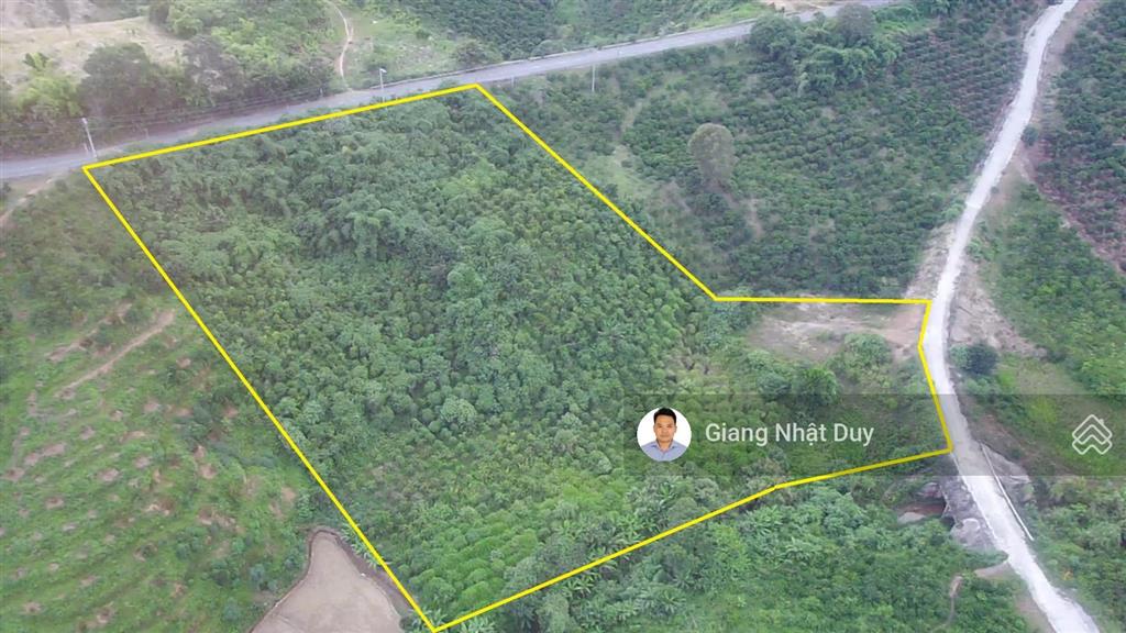 Gần 1 hecta (9536m2) mặt tiền quốc lộ 27, lâm đồng