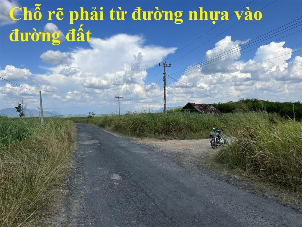 7.281 m2 đất trồng mía tại đắk lắk
