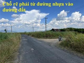 7.281 m2 đất trồng mía tại đắk lắk